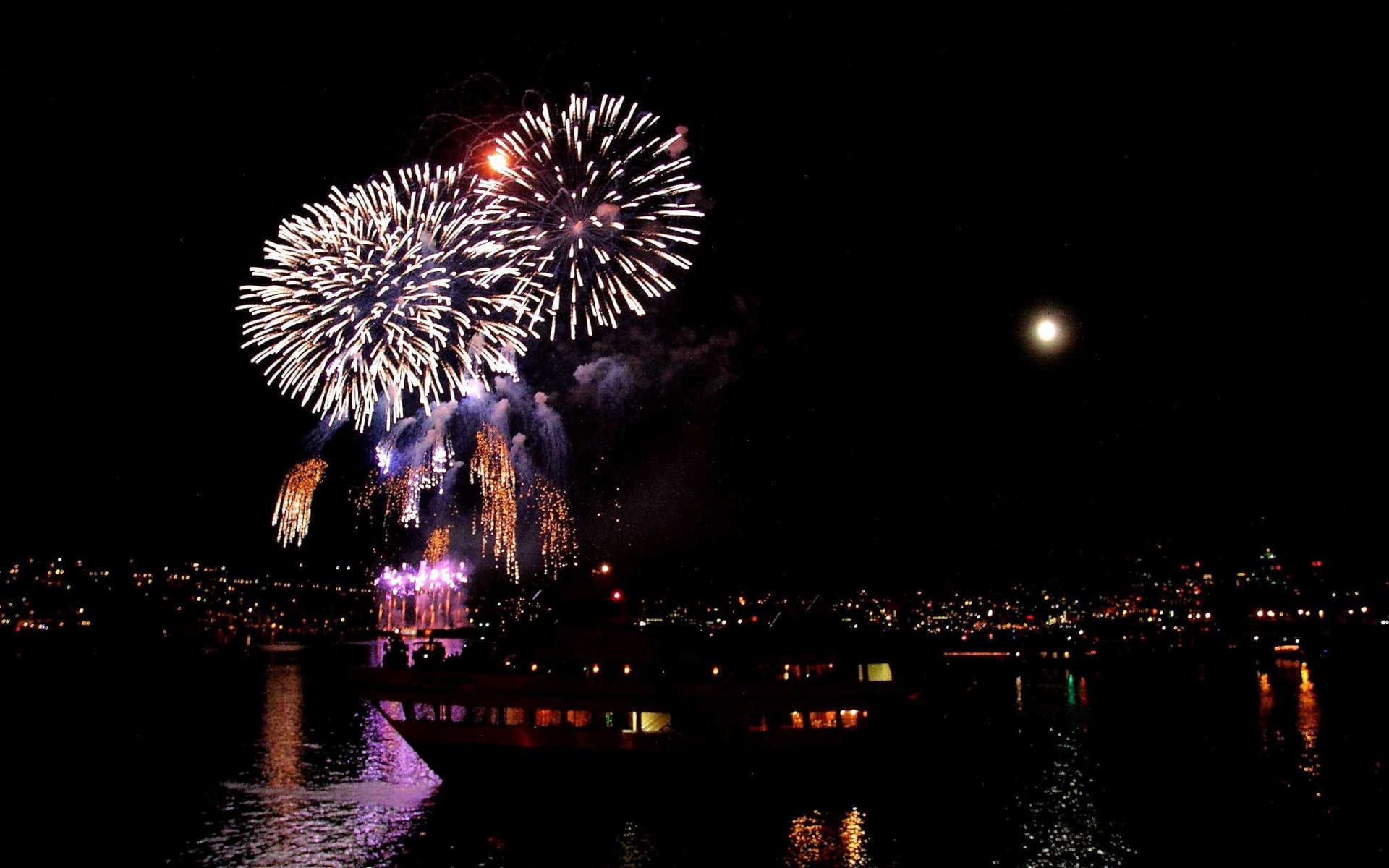 Photograph of 4th of July fireworks in the night sky