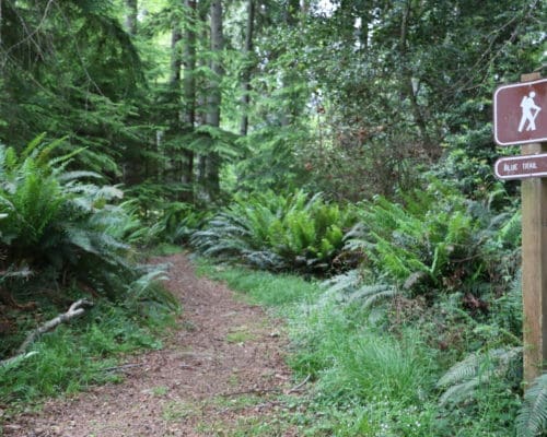 Blake Island State Park Trails